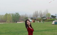 中国日本韩国免费观看视频